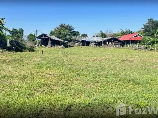 For sale land in San Sai, Chiang Mai