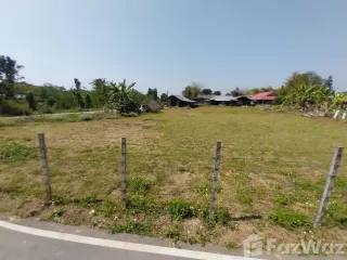 For sale land in San Sai, Chiang Mai