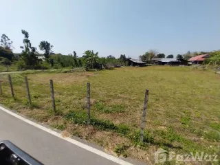 For sale land in San Sai, Chiang Mai