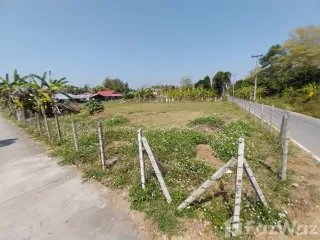 For sale land in San Sai, Chiang Mai
