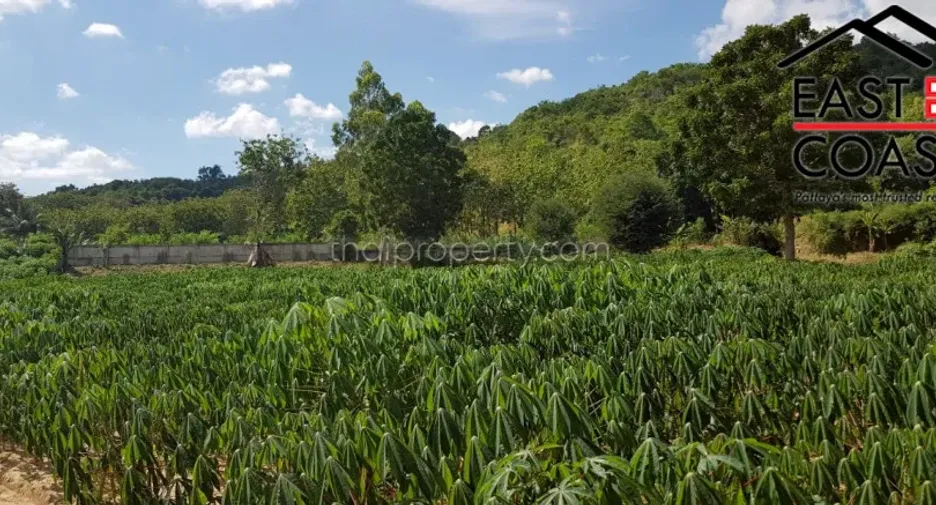 出售 土地 