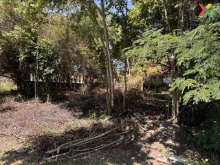 For sale 1 bed land in Bang Kruai, Nonthaburi