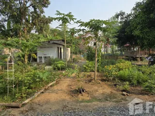 For sale land in Thung Saliam, Sukhothai