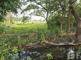 For sale land in Thung Saliam, Sukhothai