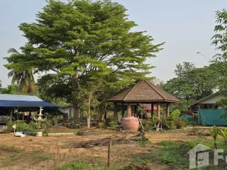 For sale land in Thung Saliam, Sukhothai