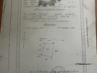 For sale land in Dan Sai, Loei