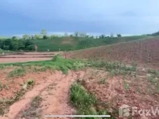 For sale land in Dan Sai, Loei
