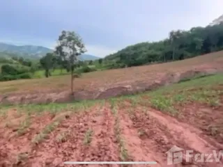 For sale land in Dan Sai, Loei