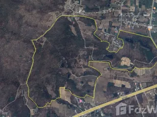 For sale land in Lom Sak, Phetchabun