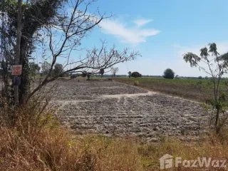 For sale land in Chanuman, Amnat Charoen