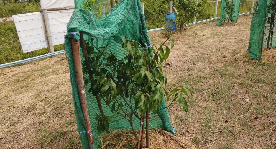 For sale land in Mueang Saraburi, Saraburi