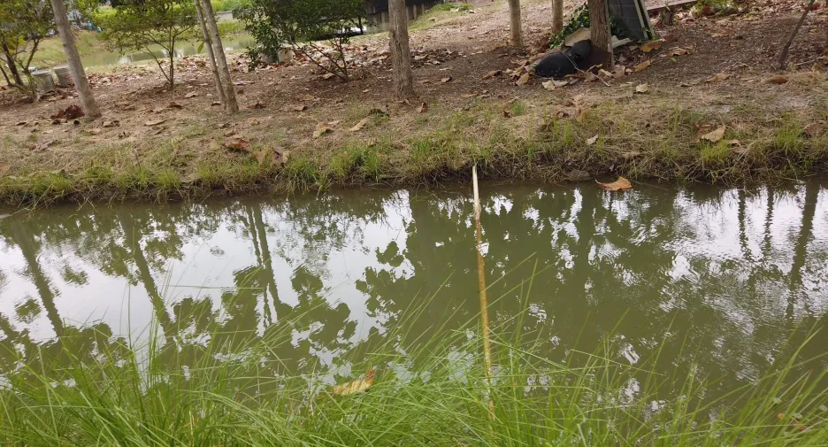 For sale land in Mueang Saraburi, Saraburi