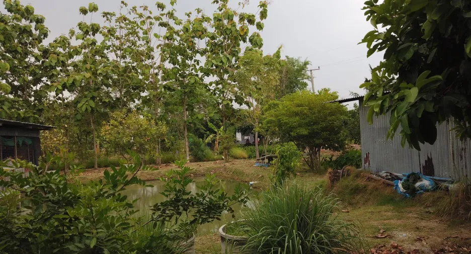 For sale land in Mueang Saraburi, Saraburi
