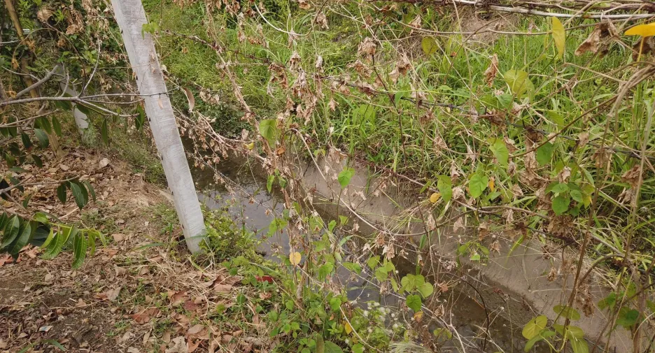 For sale land in Mueang Saraburi, Saraburi