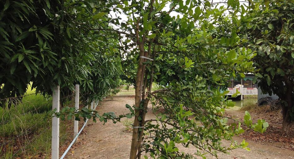 For sale land in Mueang Saraburi, Saraburi