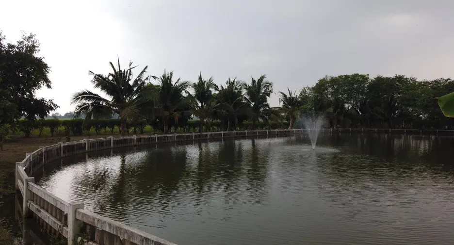 For sale land in Mueang Saraburi, Saraburi