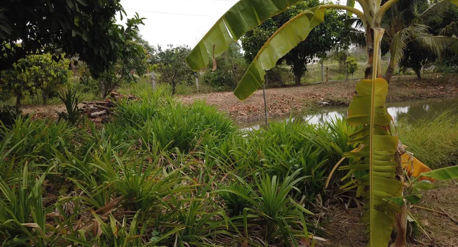 For sale land in Mueang Saraburi, Saraburi
