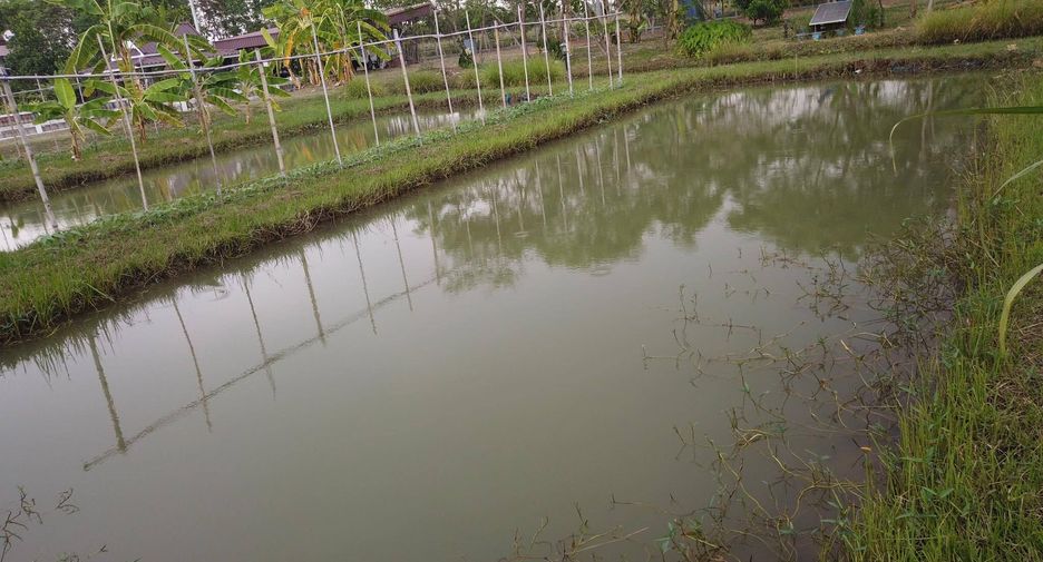For sale land in Mueang Saraburi, Saraburi