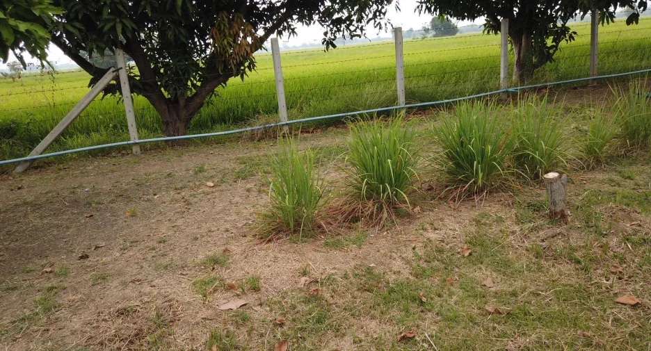 For sale land in Mueang Saraburi, Saraburi