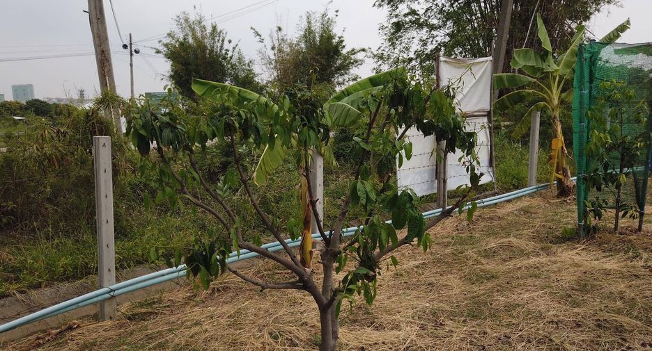 For sale land in Mueang Saraburi, Saraburi