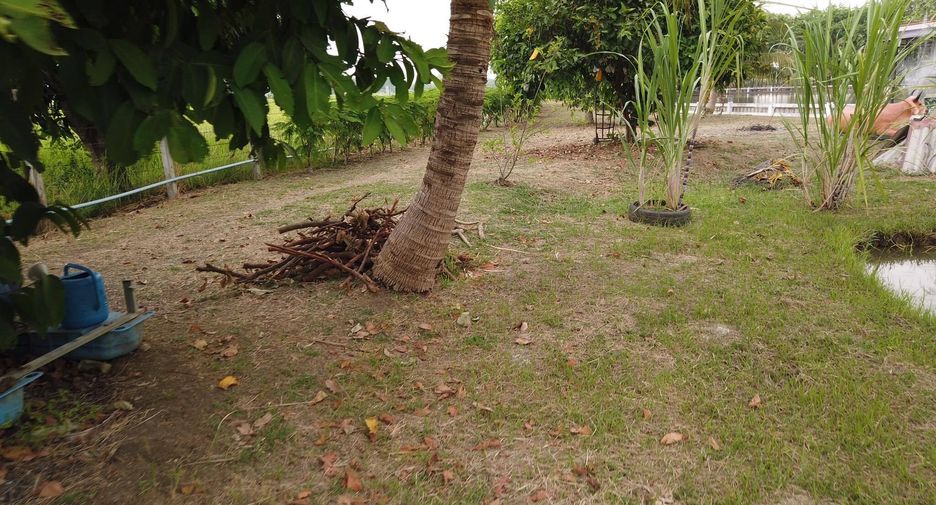 For sale land in Mueang Saraburi, Saraburi