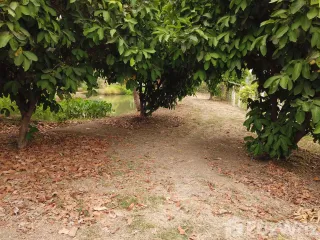 For sale land in Mueang Saraburi, Saraburi