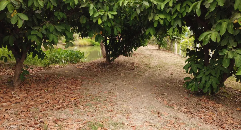 For sale land in Mueang Saraburi, Saraburi
