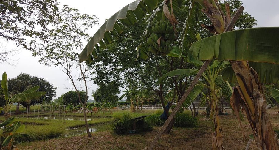 For sale land in Mueang Saraburi, Saraburi