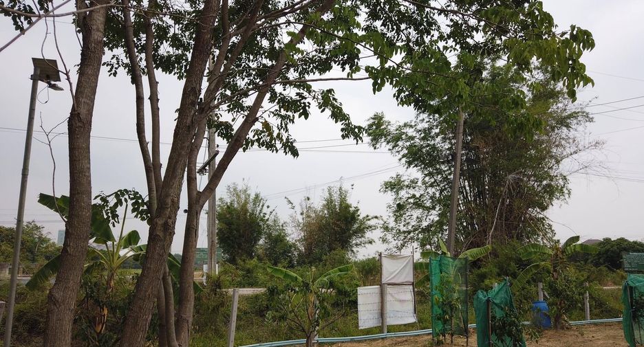 For sale land in Mueang Saraburi, Saraburi