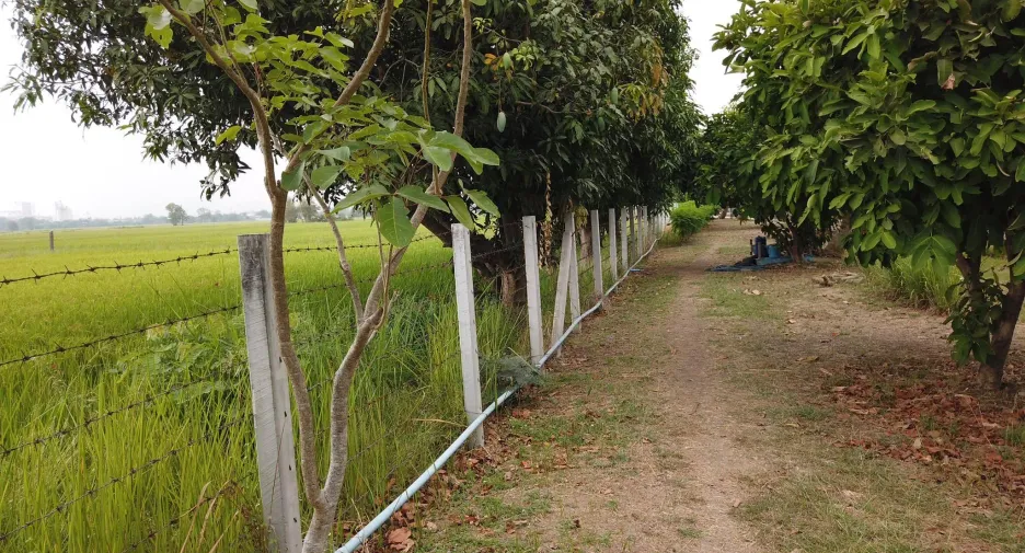 For sale land in Mueang Saraburi, Saraburi