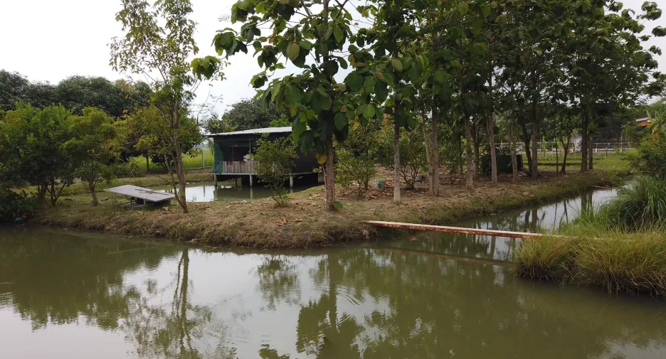 For sale land in Mueang Saraburi, Saraburi