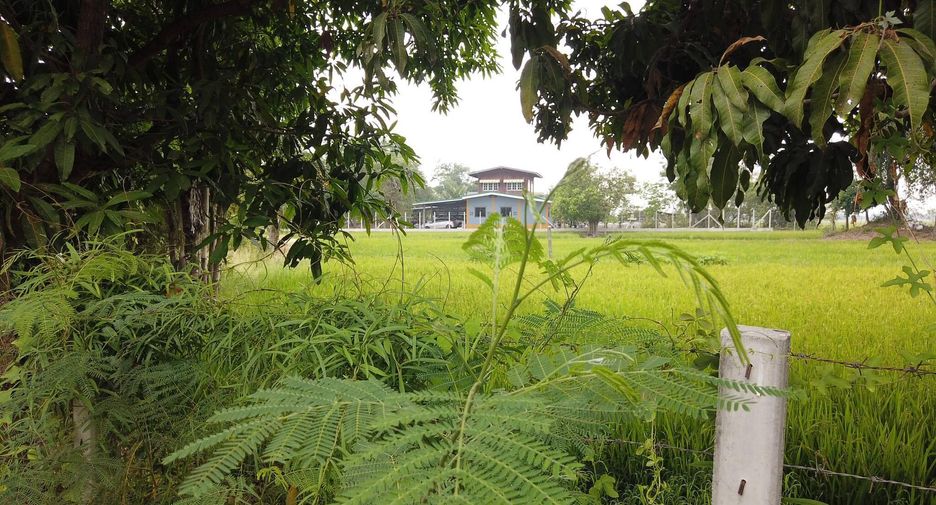 For sale land in Mueang Saraburi, Saraburi