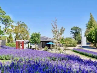 For sale land in Muak Lek, Saraburi
