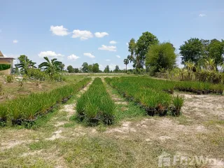 For sale land in Ban Rai, Uthai Thani