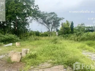 For sale land in Sao Hai, Saraburi