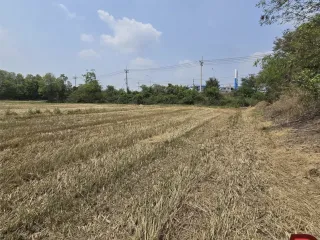 For sale land in Phra Nakhon Si Ayutthaya, Phra Nakhon Si Ayutthaya