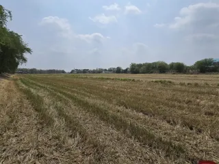 For sale land in Phra Nakhon Si Ayutthaya, Phra Nakhon Si Ayutthaya
