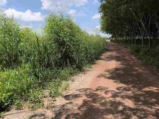 For sale land in Bo Thong, Chonburi
