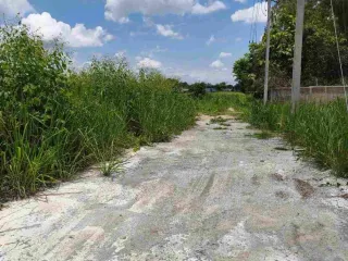 For sale land in Bo Thong, Chonburi