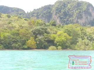 For sale land in Kantang, Trang