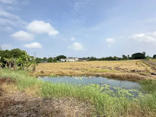 For sale land in Lat Bua Luang, Phra Nakhon Si Ayutthaya