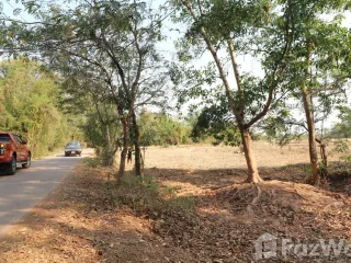 For sale land in Phen, Udon Thani