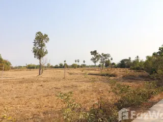 For sale land in Phen, Udon Thani