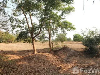 For sale land in Phen, Udon Thani