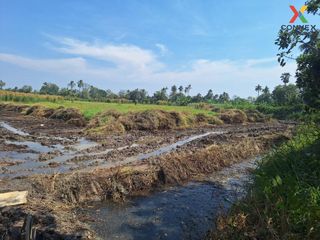 For sale 1 bed land in Nakhon Chai Si, Nakhon Pathom