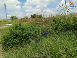 ขาย 1 เตียง ที่ดิน ใน ลำลูกกา, ปทุมธานี
