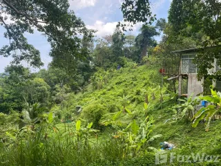 ขาย ที่ดิน ใน เมืองภูเก็ต, ภูเก็ต