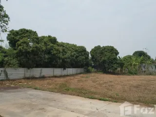 For sale land in Mae Rim, Chiang Mai