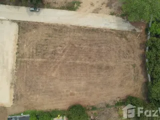 For sale land in Mae Rim, Chiang Mai
