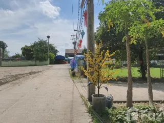 For sale land in Saraphi, Chiang Mai